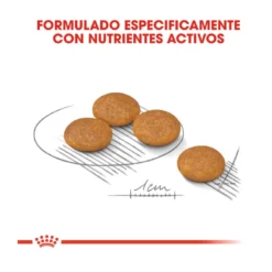 Royal Canin Dermacomfort Mini Pienso Para Perros -Pet Tienda pienso perros royal canin mini dermacomfort ROY151631 M 3