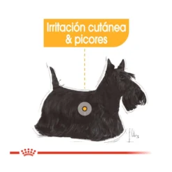 Royal Canin Dermacomfort Mini Pienso Para Perros -Pet Tienda pienso perros royal canin mini dermacomfort ROY151631 M 4