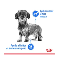 Royal Canin Mini Light Weight Care Pienso Para Perros -Pet Tienda pienso perros royal canin mini light weight care ROY150931 M203