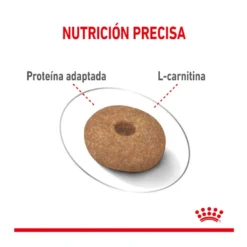 Royal Canin Mini Light Weight Care Pienso Para Perros -Pet Tienda pienso perros royal canin mini light weight care ROY150931 M204