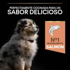 Purina Pro Plan Puppy Medium Salmón Piel Sensible Pienso Para Cachorros -Pet Tienda pro plan puppy sensitive optiderma PRO12272433 1206