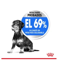 Royal Canin Light Weight Care Small Pienso Para Perros -Pet Tienda royal canin x small pienso light ROY1230200 5