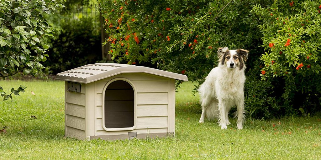 Pet Tienda -Pet Tienda caseta de plastico para peros e1533228194177 1024x512 1